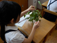 DSCN2595