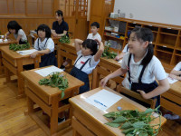 DSCN2600