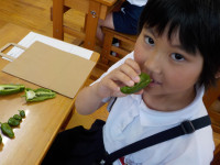 DSCN2626