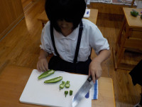 DSCN2619
