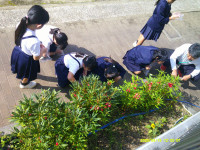 DSCF0005