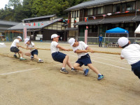 DSCN6018
