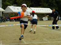 DSCN6204